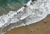 Los Angeles beaches under a stay-out-of-the-water warning during tense heatwave