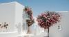 Destinations Across the Middle East That Feel Like a Trip Abroad