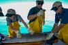 Study suggests Great Lakes lake sturgeon may live far longer than previously thought