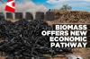 Bush becomes ‘black gold’ as biomass sector expands
