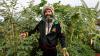 ANDREA WHITELY: How to garden like a Rustafarian