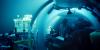 ‘A Life Illuminated’: Of Bioluminescence, Mysterious Sea Creatures, And A Woman Scientist’s Groundbreaking Quest