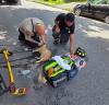 Montgomery County EMS revives cat rescued from Amsterdam house fire