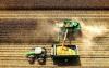 GMOs and precision farming bring food prices down.