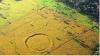 Archaeologists Discover Hundreds of Ancient Geoglyphs Hidden in the Amazon