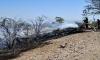 Tourist plane on sightseeing flight in Peru crashes into a field, killing all 13 people on board