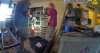 More than 50 highly venomous snakes, including cobras and mambas, recovered in New Mexico drug raid