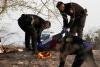 13 killed in Peru plane crash during Nazca Lines tour