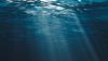 'Most Isolated Environments': Microplastics Are Finding Their Way Down to Deep-Sea Hydrothermal Vents