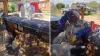 Arizona man swarmed by 100,000 killer bees while weed whacking around outdoor furniture