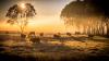 Australian farmers front new mental health campaign