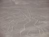 Peru Tourist Plane Crash: 13 Killed During Nazca Lines Sightseeing...