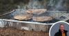 Calls to ban disposable BBQs across UK backed in Dorset amid wildfire crisis