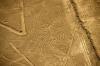 Nazca Lines Sightseeing Crash: 13 Foreign Tourists Killed, Flights Suspended