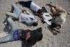 After most migrants leave Ceuta, exhausted holdouts find shelter on beach