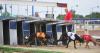 UK greyhound racing business with £4 million debts in liquidation