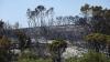 France's devastating fires now 'under control,' says PM