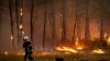 French wildfires: Record-breaking for the wrong reasons