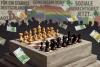 German Democracy and the