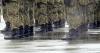 Fears of a U.S. draft grow as the Selective Services modernizes