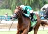 Corniche’s Fanshell Beach Claims First Stakes Win in Riverside Rush, First Black Type Earner for Sire