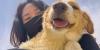 Stray Dog Gets A Second Chance Thanks To One Construction Worker