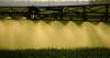 Roundup use in Scotland under scrutiny amid UK-EU trade talks