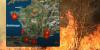 France wildfires: Var blaze contained after burning 1,800 hectares