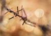 Deadly distortions of Christianity in Africa