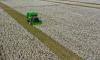 China Cotton Association slams US inclusion of 43 Chinese companies on 'Entity List' under groundless 'forced labor' claim, warns sanctions have undermined global cotton industry chain