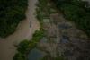 Colombia: Forest loss was slightly up in ’25