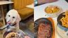 This dog-friendly city centre restaurant is one of the best meals I've had in Glasgow