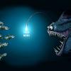 The War of Perception: The West’s infowarfare and cognitive warfare against Russia