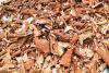 Cassava peels turn into cement alternative