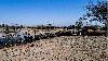 Thirteen die in tourist plane crash