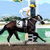 Dream Catcher cements place as champion three-year-old filly