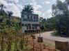 Bubanza : two oil palm trees at the heart of a murder and a wave of reprisals
