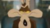Coyote Vs. Acme Runtime Officially Sets Record In Looney Tunes Franchise