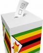 Zanu-PF wins Victoria Falls Ward 10 by-election amid renewed vote-splitting debate