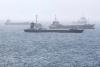 Invasive species could use Iran war to spread all over the globe