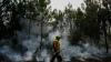French wildfire near Bordeaux contained while 1,500 firefighters tackle Provence blaze
