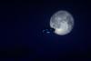 Some of the 20 UFOs Near the Moon Are Ring-Shaped and Spin at Twice Earth's Gravity, Astronomers Claim