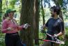 Minneapolis buckthorn singles club uproots invasives, cultivates love