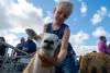 29 fabulous pics as hundreds flock to Garstang Agricultural Show
