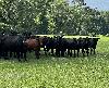 Emergency preparedness meeting planned for residents with farms or livestock