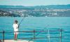 Scientists warn Adriatic Sea is changing as warming waters bring new species