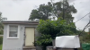 Liberty City family left with damaged home and no power after tree falls into roof following fierce storms