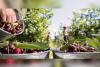 A celebration of the Jamaican-Canadian Seasonal Agricultural Worker Program in Kelowna