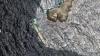 Russia-linked shadow tanker leaking into protected waters could break apart