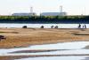 Hungary nuclear plant to shut down as Danube River dries out